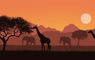 iccafricaday